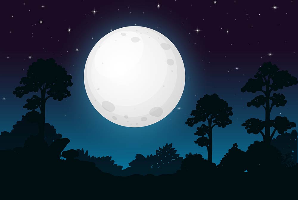 ¿Por qué le tememos a la oscuridad? Nuevo estudio tiene una respuesta